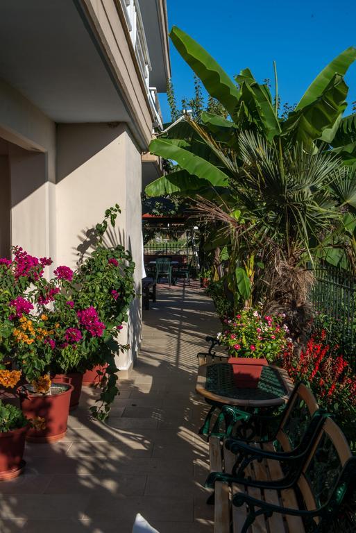 Polymnia Apartament Olympiakí Aktí